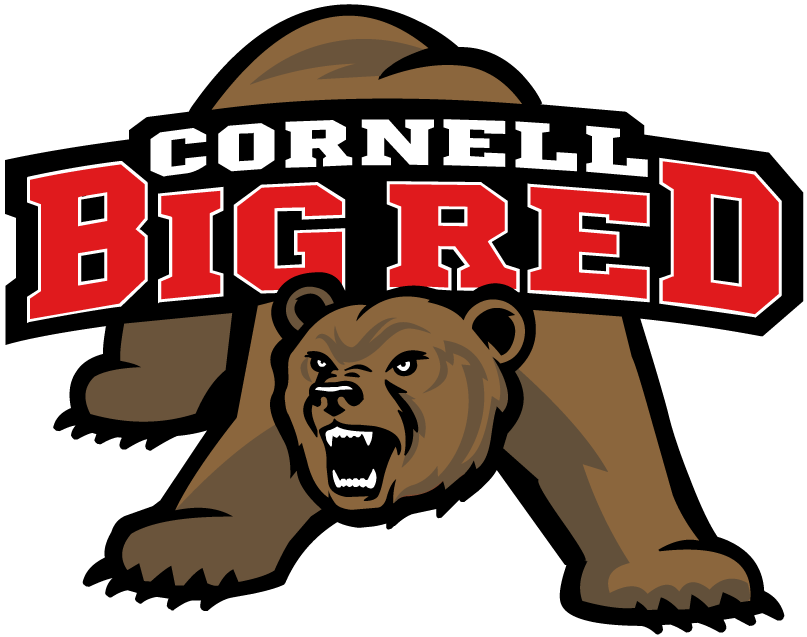 Cornell Big Red 2002-Pres Alternate Logo DIY iron on transfer (heat transfer)